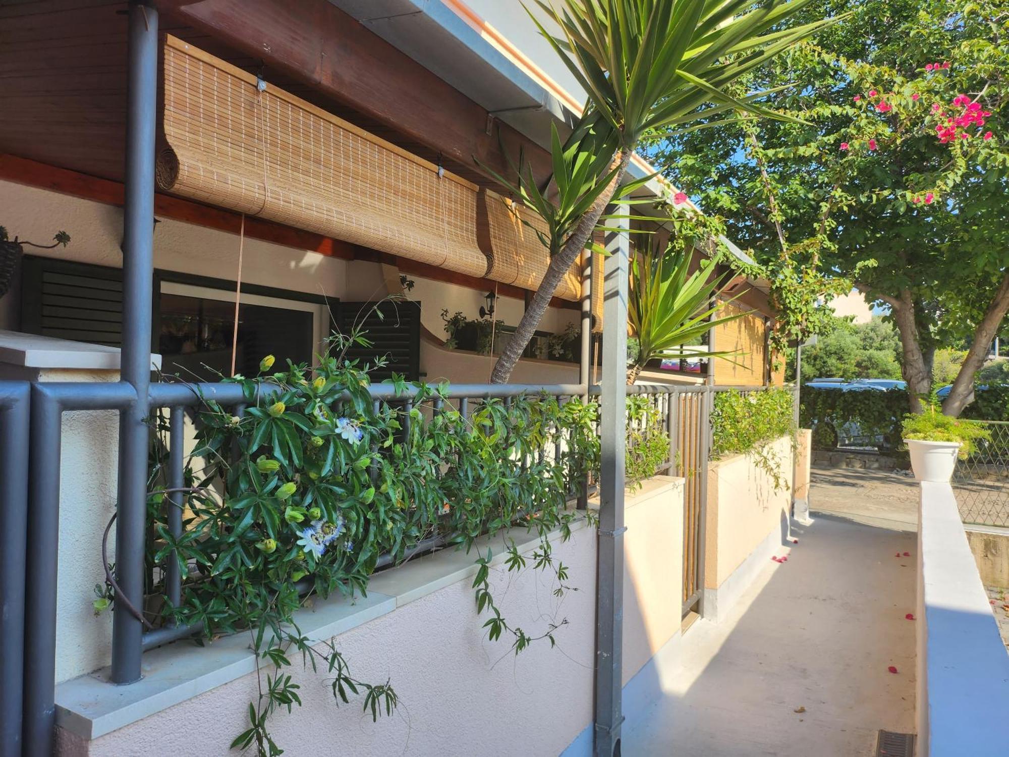 Apartmani Dijana Podgora Exterior photo